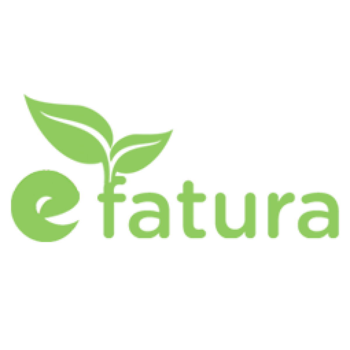 E-Fatura